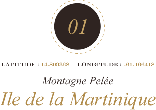 Montagne Pelée Ile de la Martinique