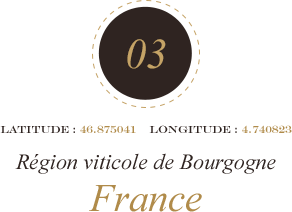 Région viticole de Bourgogne